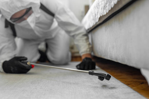 Professional Pest Control technician working in Pike County County, AR
